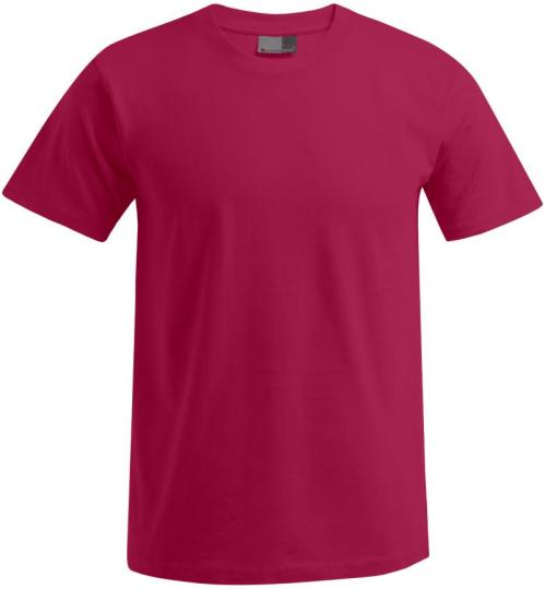 T-shirt Premium da uomo Promodoro | 3099 (XS-6XL) 